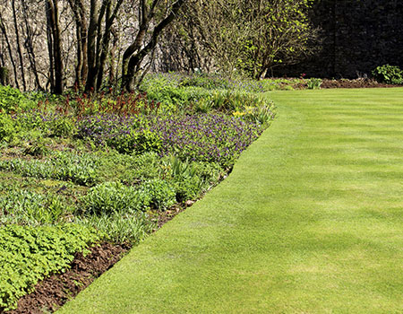 Landscpaing gallery